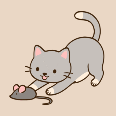 Cat Toys