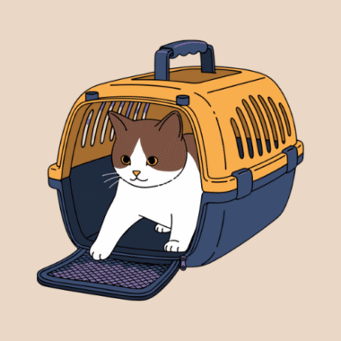 Cat Travel & Carriers