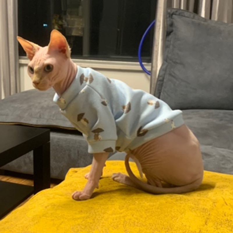 Cat's Colorful Print Sweatshirt Cat's Colorful Print Sweatshirt