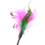 6742-hknibi.jpg