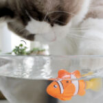 Water Robot Fish for Cat